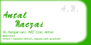 antal maczai business card